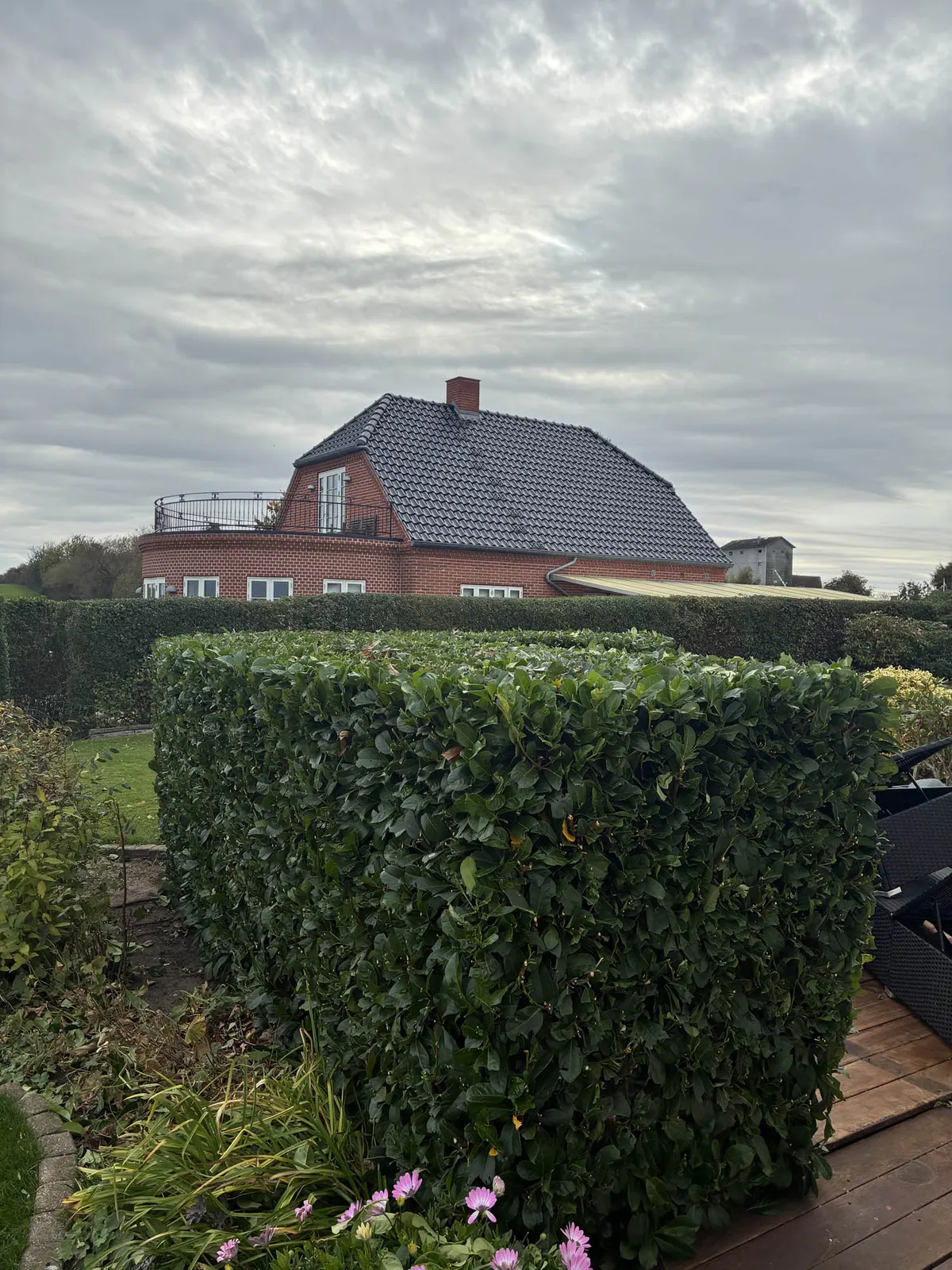 Beskæring — udført arbejde