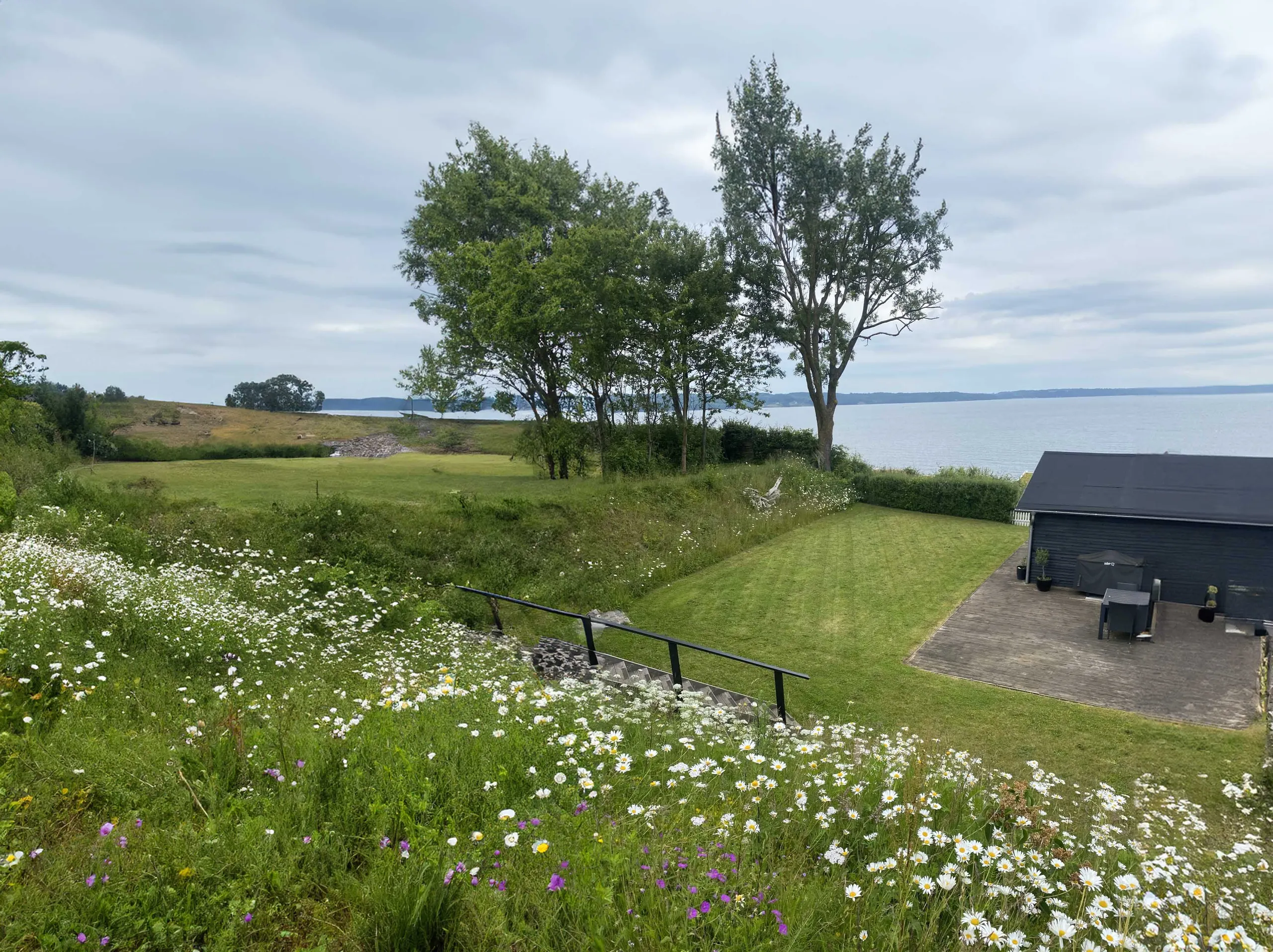 Frodig have med blomstereng og udsigt over vandet — passet af Schacht Haveservice